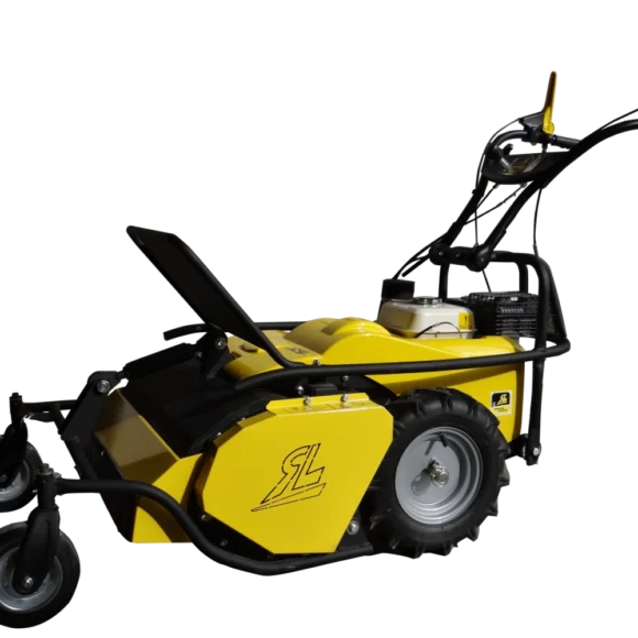 Alternative view of Roques et Lecoeur RL460B Schlegelmäher mit Briggs & Stratton Motor