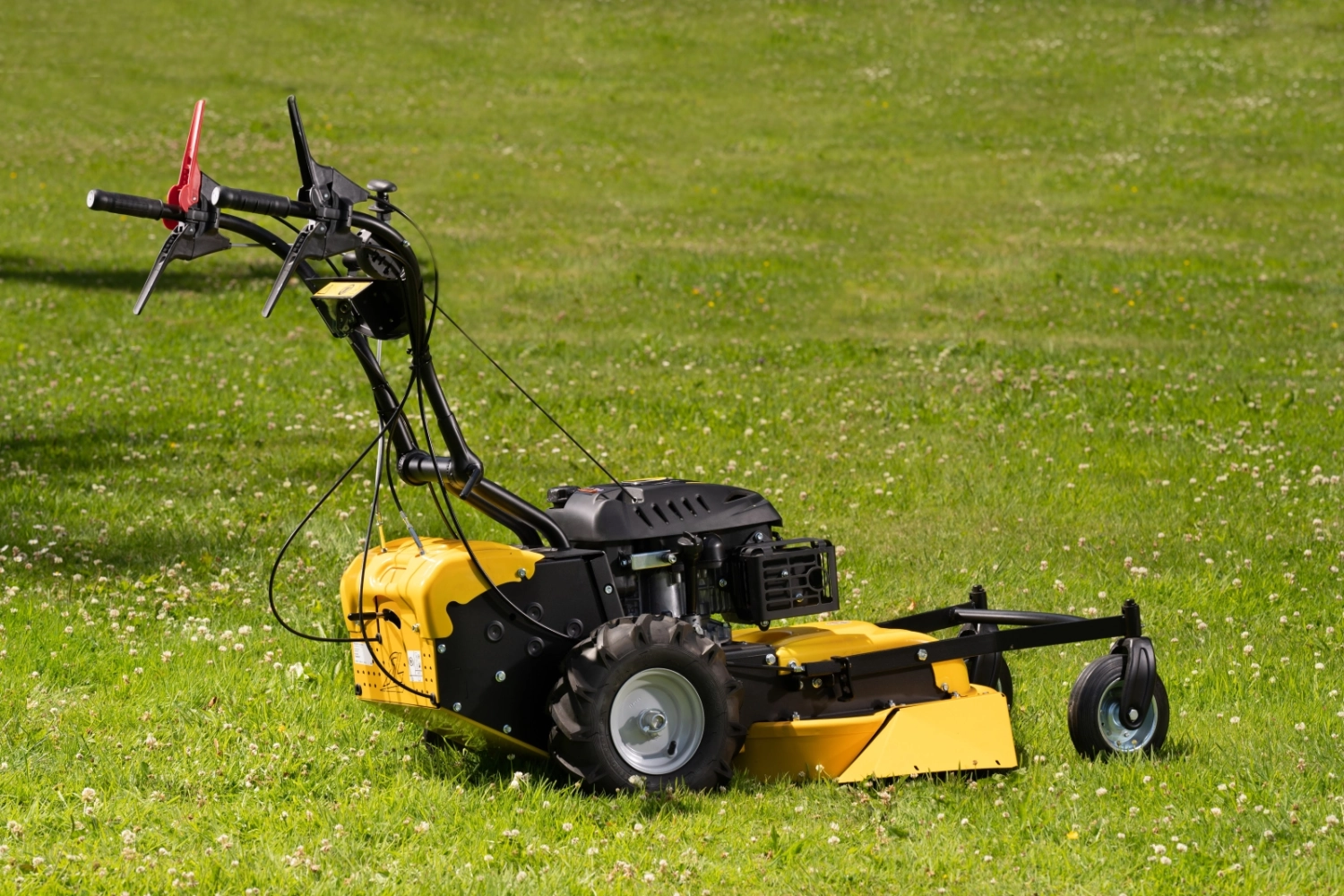 Roques et Lecoeur RL210B Vierrad-Rasenmäher mit Briggs & Stratton Motor – Bild 4