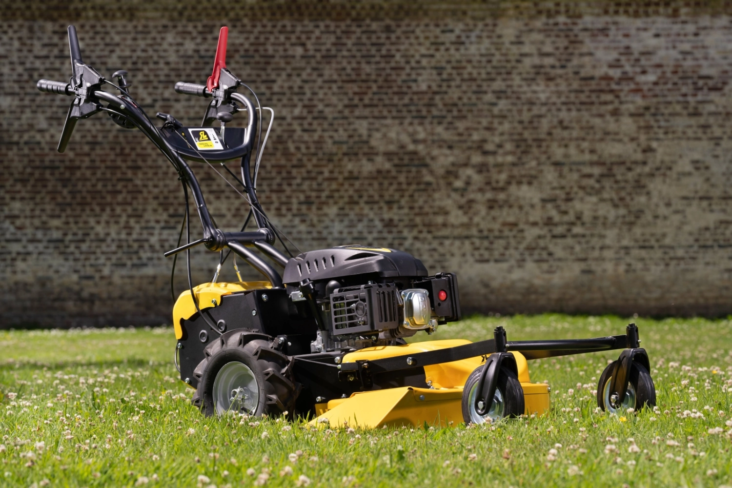 Roques et Lecoeur RL210B Vierrad-Rasenmäher mit Briggs & Stratton Motor – Bild 3