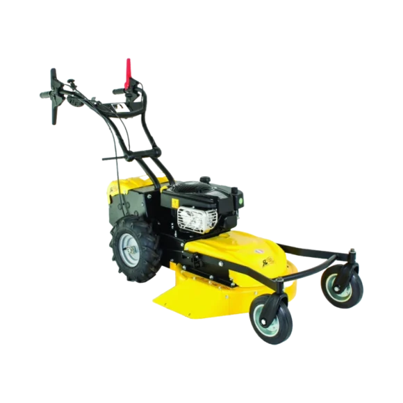 Alternative view of Roques et Lecoeur RL210B Vierrad-Rasenmäher mit Briggs & Stratton Motor